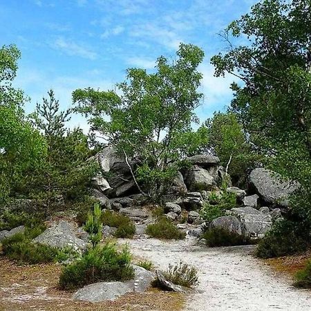 Appartamento Cocon Napoleon Calme Fontainebleau Esterno foto